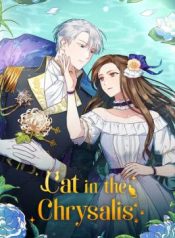 Cat in the Chrysalis