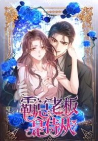 Bossy President Cant Go Against Me