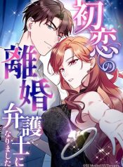 I Became a Divorce Lawyer for My First Love