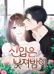 Newcomers Turn Low at Night