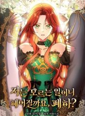 Since I Don’t Remember Anything About It, Shall We Break Up, Your Majesty?