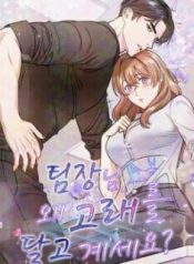 Team Leader, Why Are You Carrying a Whale?