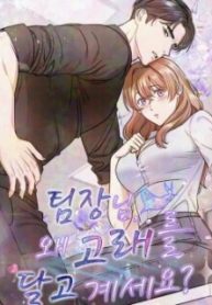 Team Leader, Why Are You Carrying a Whale?