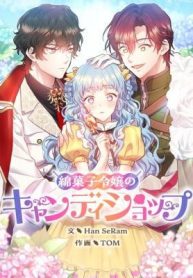 The Cotton Candy Lady’s Candy Shop