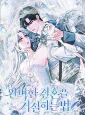 Rejecting The Perfect Marriage