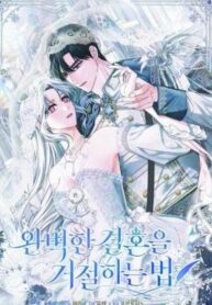 Rejecting The Perfect Marriage