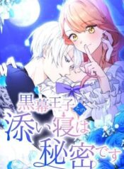 The Night I Spend With the Mastermind Prince Is My Secret