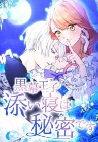 The Night I Spend With the Mastermind Prince Is My Secret