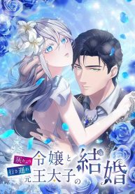 Useless Cinderella’s Feeble Attempt to Save the Kingdom